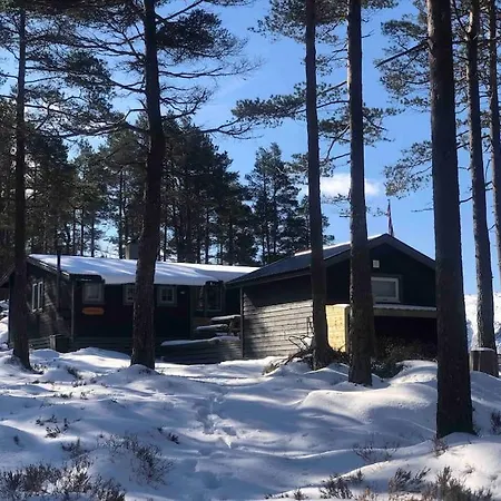 Koselig Enkel I Fjellet Nyaraló Frafjord