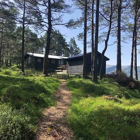 Koselig Enkel I Fjellet *