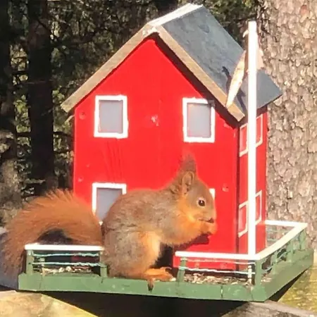 Ferienhaus Koselig Enkel I Fjellet *